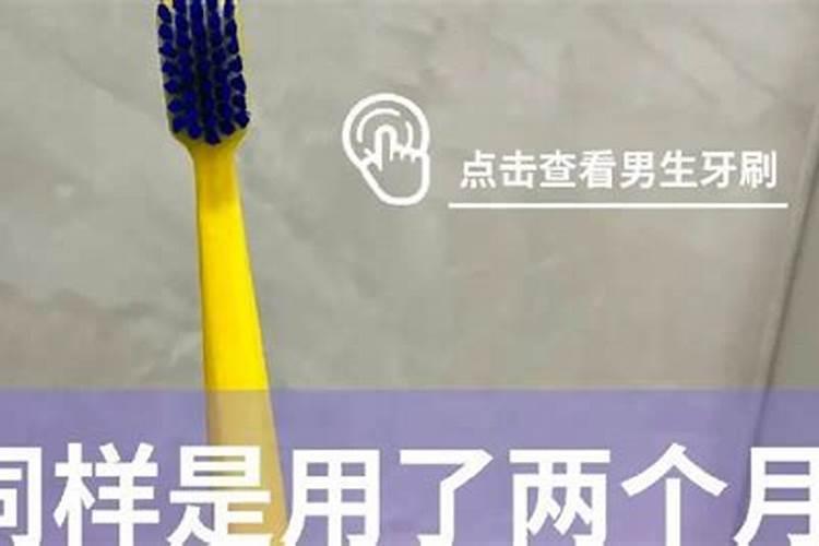 如何种兰花