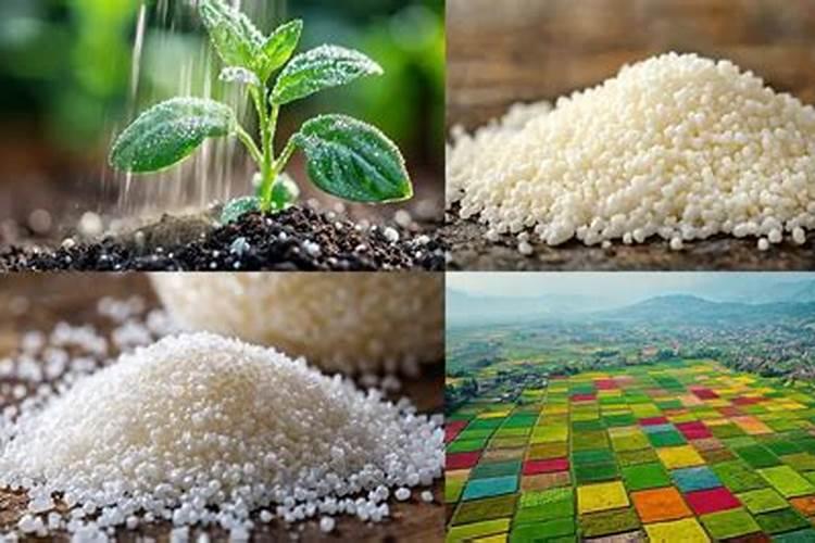 玉米钾肥的正确使用方法