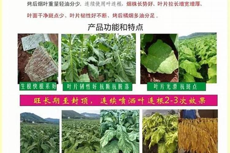 资兴有哪些特产