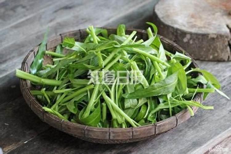 空心菜施什么肥料最嫩