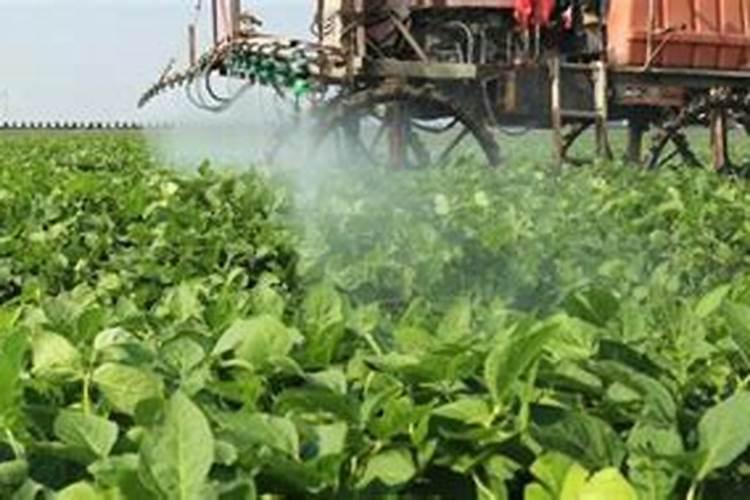 大豆打完除草剂多久可以打叶面肥水？