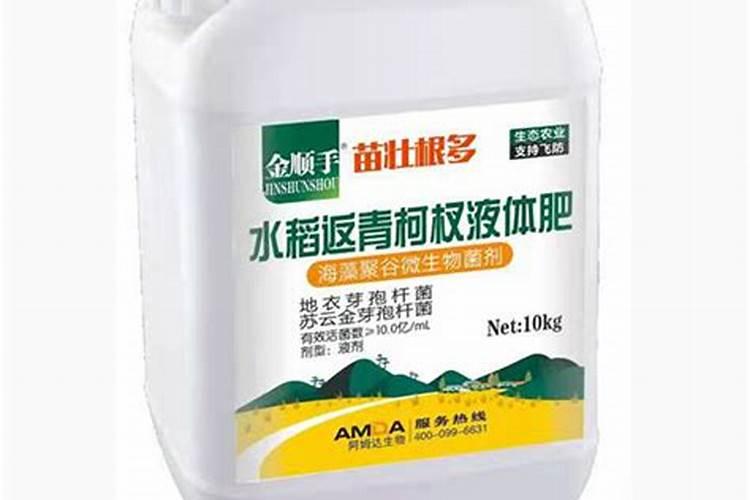 葡萄采收期能不能浇水？