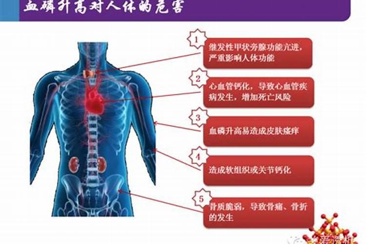 人体内磷多的危害及症状