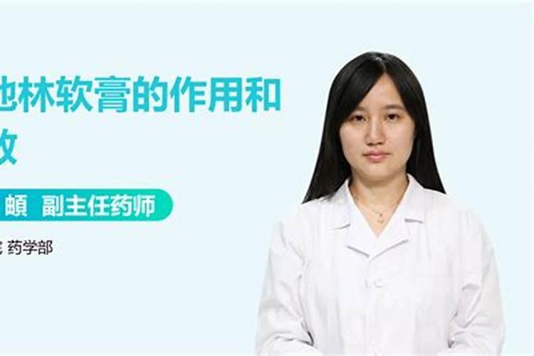 娜塔栎小苗如何种植？娜塔栎种植技术
