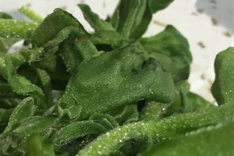 冰草种植技术 冰草生长需要什么条件