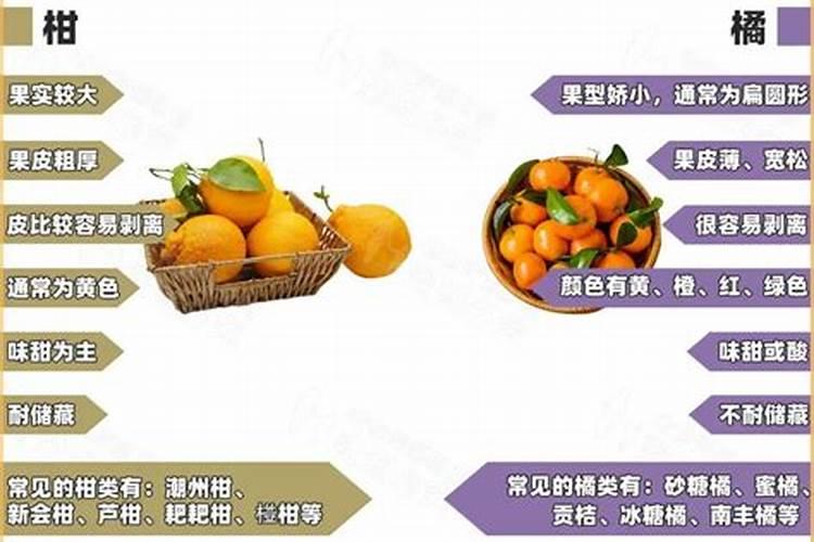 柑橘的功效与作用