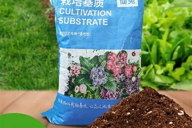 养花的营养土能不能拿来种菜营养土种菜还需要加肥料吗