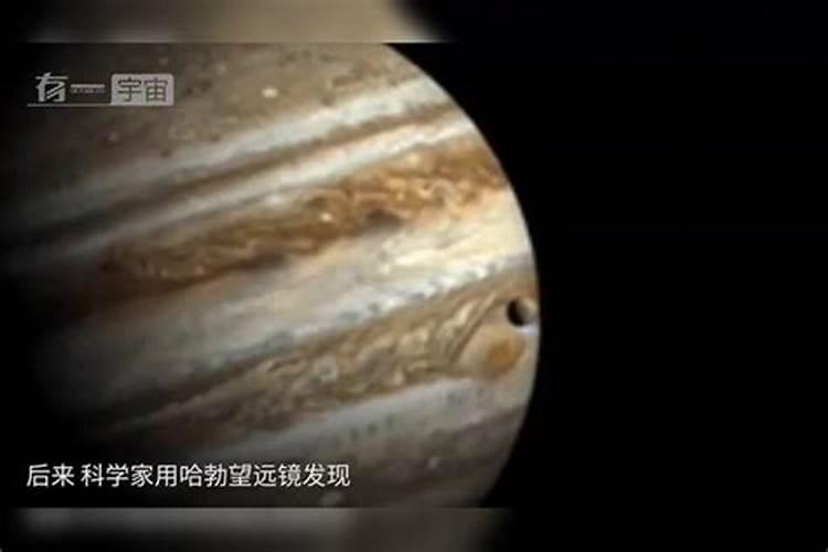 效果好的水溶肥是哪家