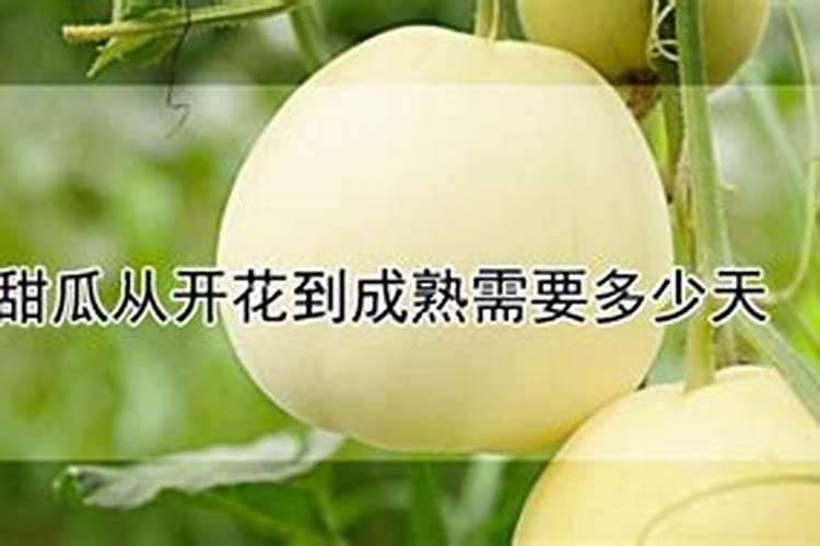 灌根的正确方法,什么是灌根
