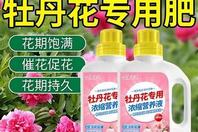 牡丹用什么肥料长得好