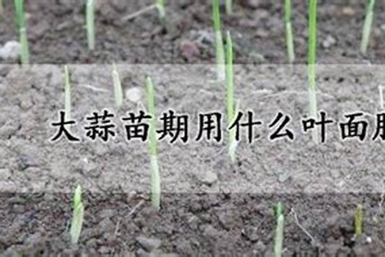 解药害哪种叶面肥最好