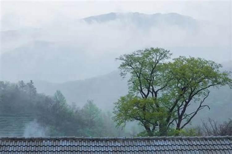 求教这个学名叫什么,我们老家叫大肥,在线等,急!!