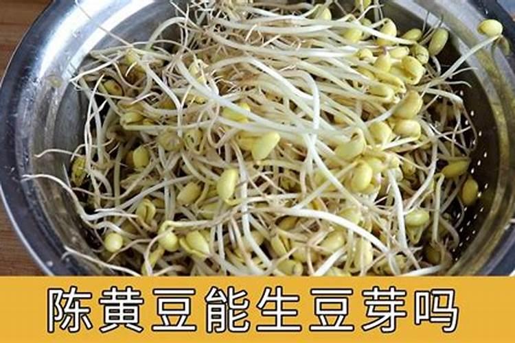 黄豆如何施肥