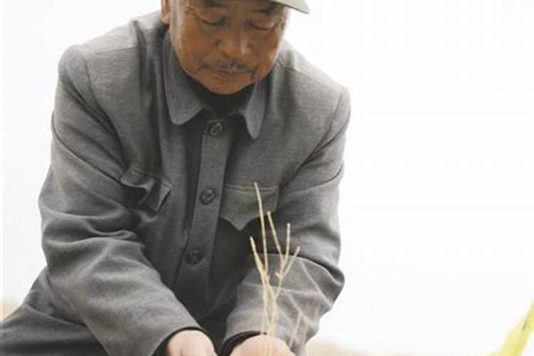 树苗栽多久才知道活了没有,多久才能施肥