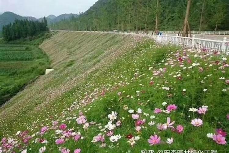 种植的树多久可以施肥 树木种植后何时施肥最合适？