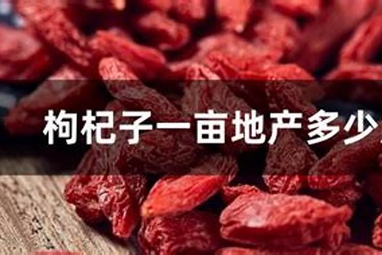苏子叶具体种植办法？