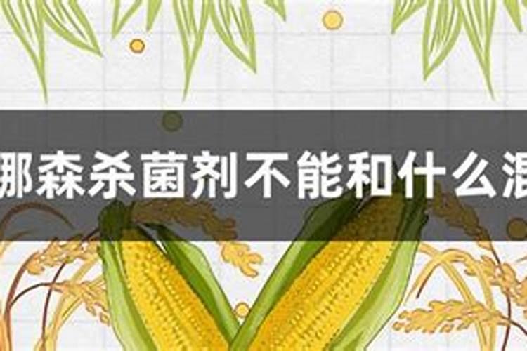 用露娜森防治辣椒疫病有效吗？