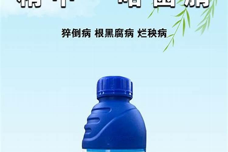 请问,菠菜根腐病用什么药灌根和雾喷效果好