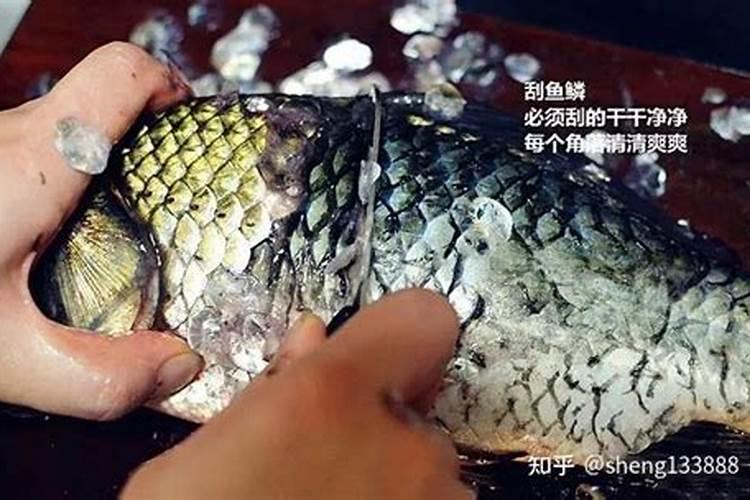 发酵鱼蛋白为什么发臭了