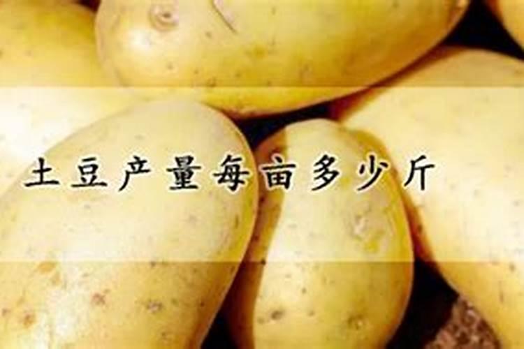 种土豆施什么底肥好？