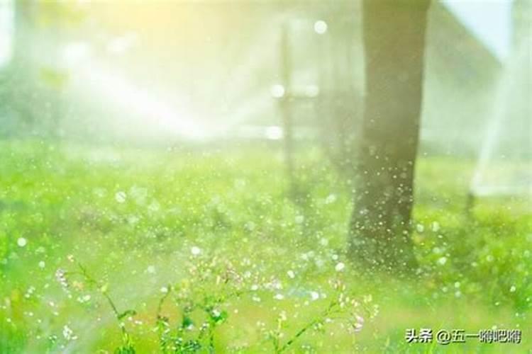 我十亩田的鱼塘前两天看水色有点偏红色后施了四袋磷肥今早水质就变绿...