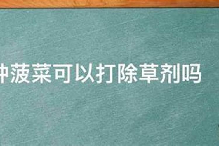 芸苔内酯适合打什么蔬菜