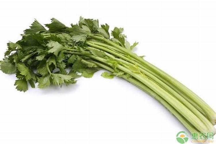 芹菜缺乏微量元素会怎么样？