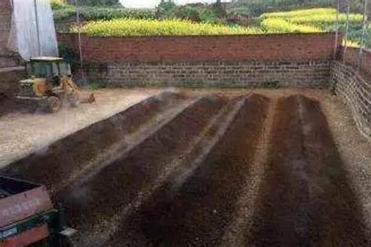 绿萝用什么肥料长得快,含氮的有机肥最利于生长