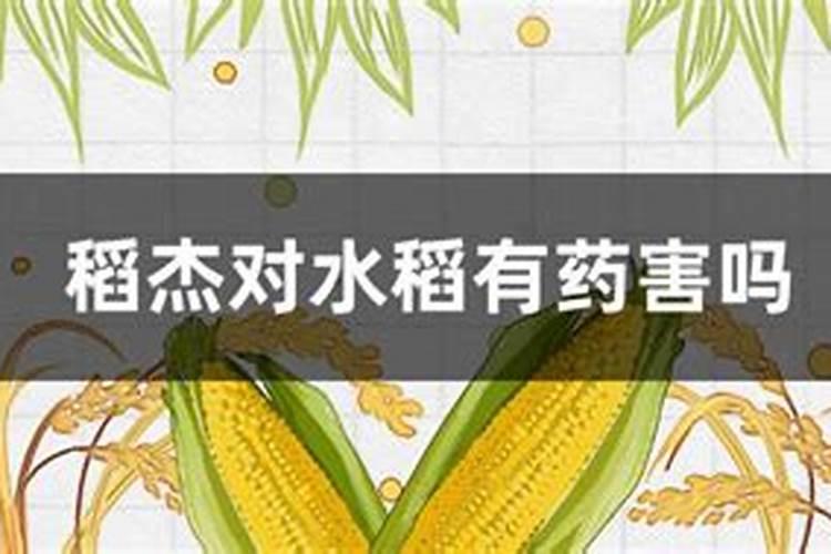 水稻移栽田芽前封闭防除稗草最好使的药是什么？