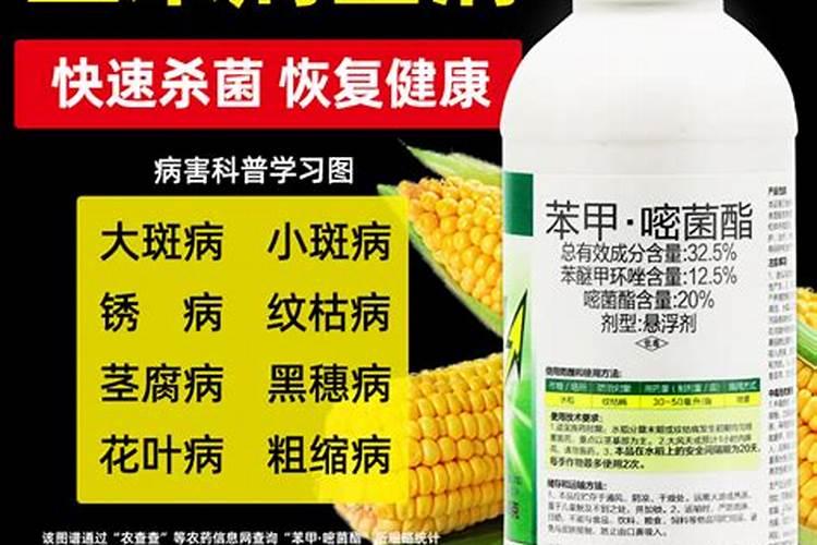 玉米授粉期能打杀菌剂和叶面肥吗