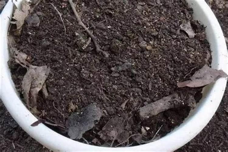 自制磷钾肥的方法,磷钾肥有哪些