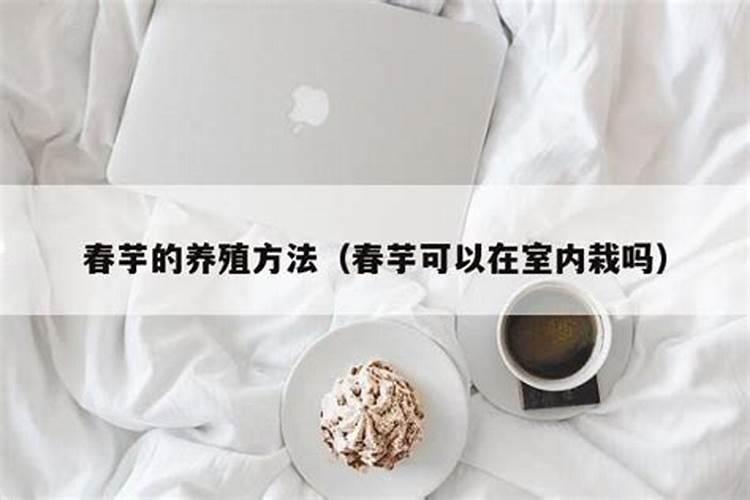 春芋怎么养殖方法和注意事项有哪些？