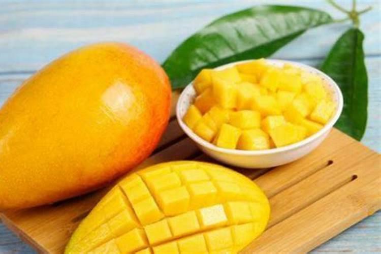 芒果用什么肥料最好