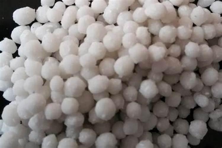 中微量水溶肥烧根吗