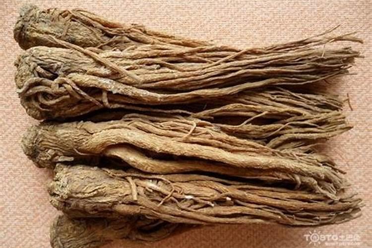 重庆万州地区可以种殖当归吗？