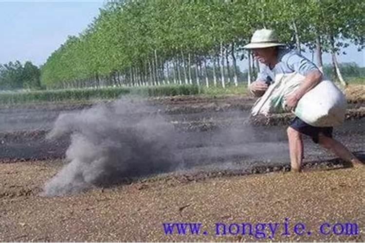 阳台种菜需哪些肥料