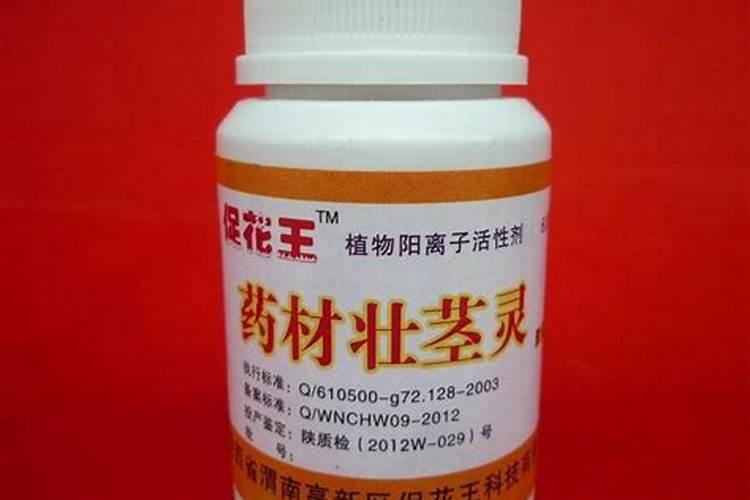 发财树大叶叶子发黄已经掉落怎么补救？速回答,谢谢