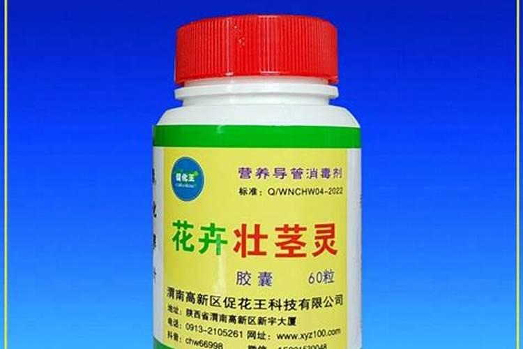 如何防治芹菜叶柄开裂