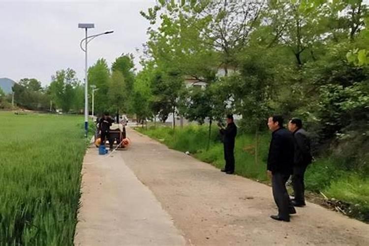 阳台上种了点草莓和番茄`用花多多`奥绿肥 做蔬菜肥料 吃了会对身体有...