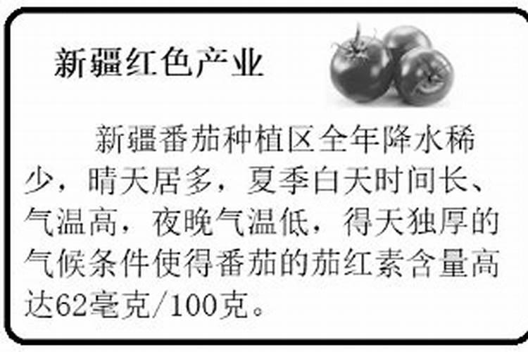 番茄追肥用什么肥料好