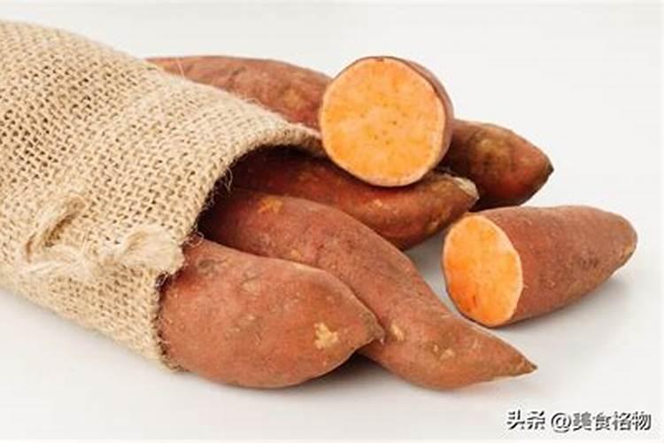红薯底肥最佳配方