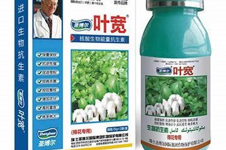 s诱抗素复配什么叶面肥喷草莓