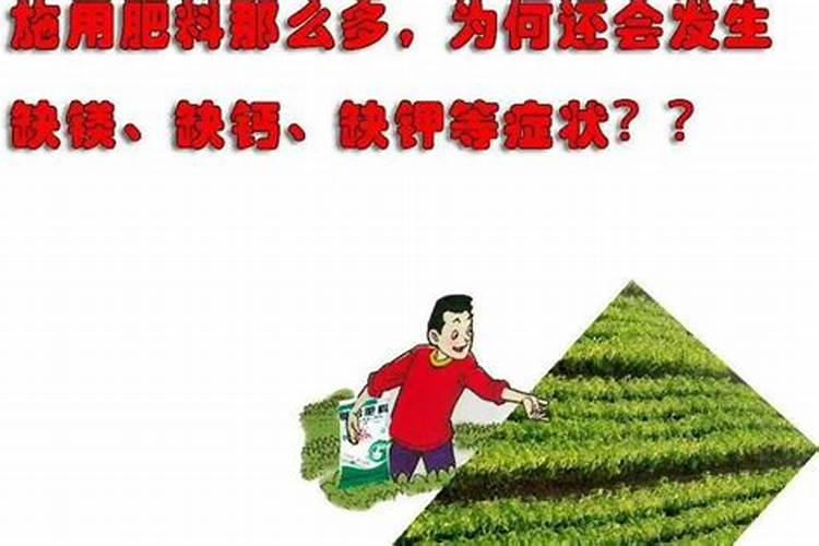 农家乐化肥是不是大品牌