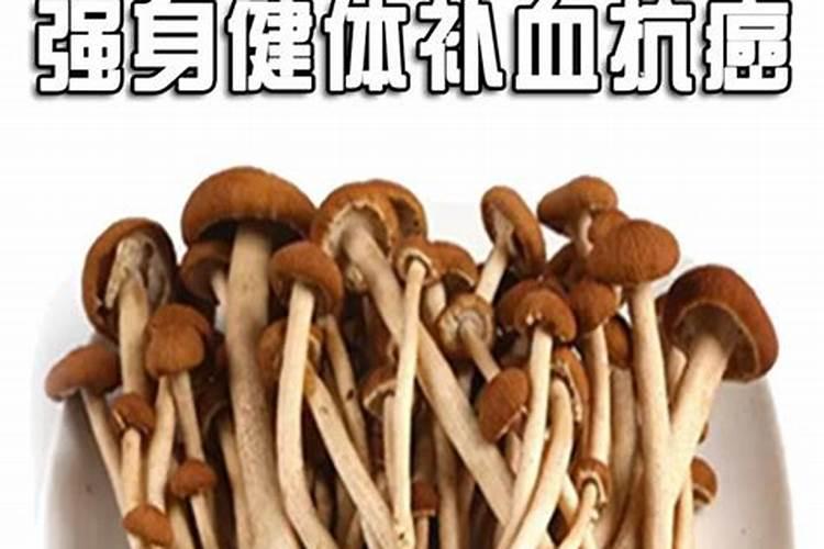 种植茶树需要注意哪些问题？