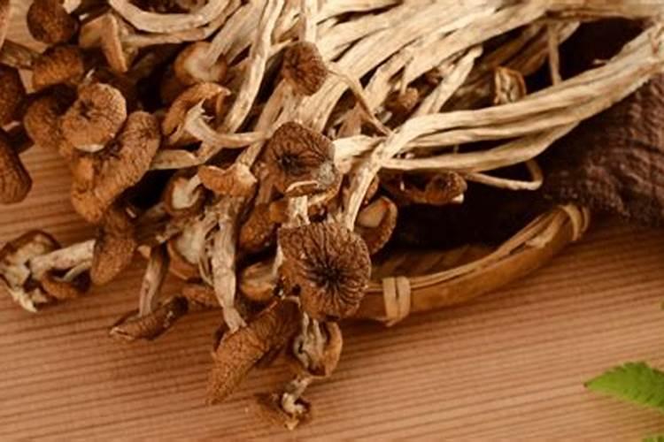 茶树菇感染杂菌经常出现,茶树菇感染杂菌的原因是什么？