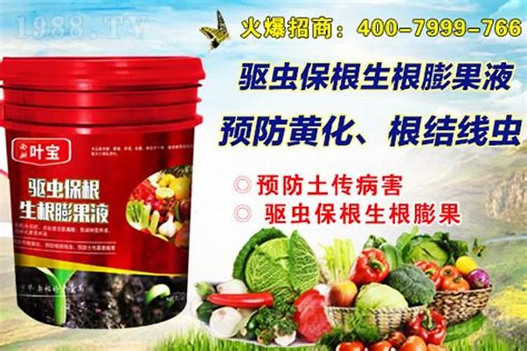 杨树什么时候施肥最好？