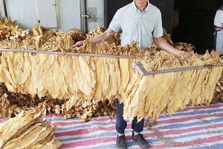一亩烤烟用多少钾肥 什么时候施钾肥好