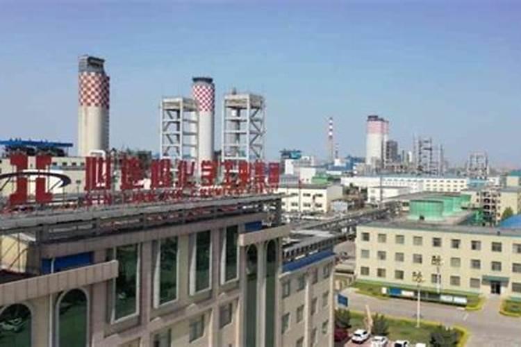 江西开门子肥业集团有限公司企业介绍