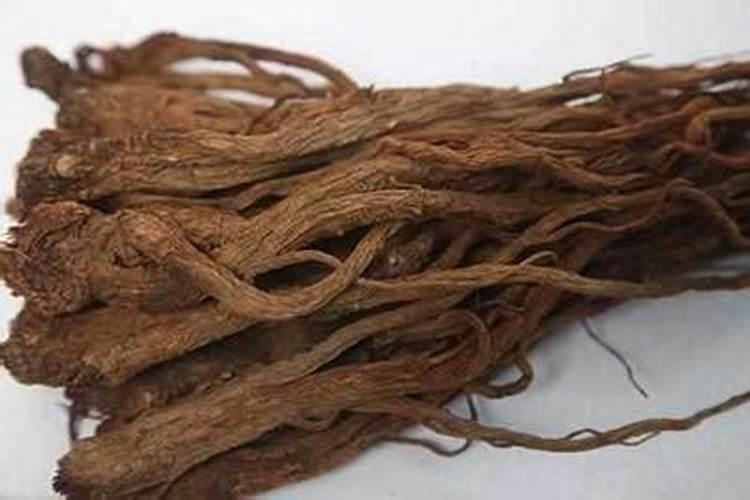 当归种子怎么种植？
