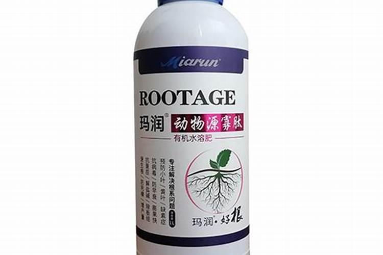 必达水溶肥可以施贝贝小南瓜吗